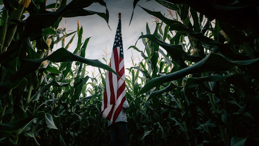 U.S. flag in corn field