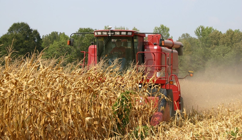 combine on corn farm