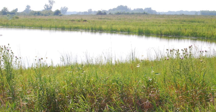 pond and field/WATER QUALITY: When applied to conservation planning and problem-solving, systems thinking has the potential t