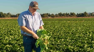 Yuma lettuce farmer John Boelts, and others like him, produce billions of servings of leafy greens during the winter months f