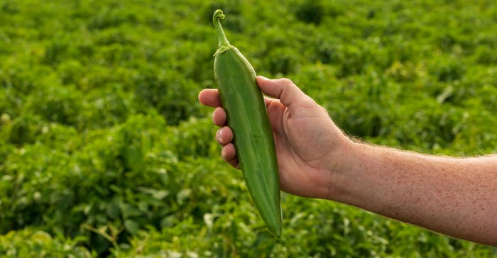 wfp_todd_fitchette_hartman_farms_chili-1793.jpg wfp_todd_fitchette_hartman_farms_chili-1793.jpg