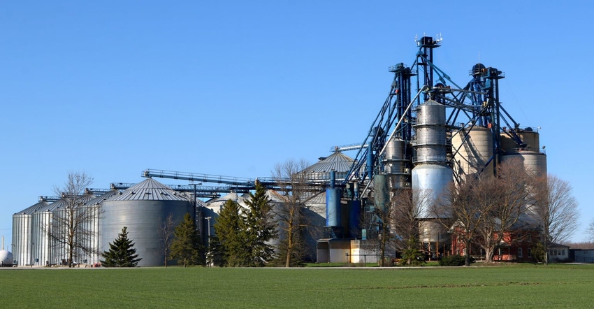 3-21-22 soybeans in dryer GettyImages-1147587971.jpg 3-21-22 soybeans in dryer GettyImages-1147587971.jpg