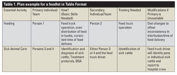 Plan example for a feedlot in Table Format table