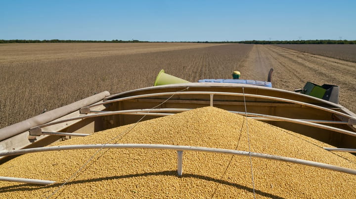 Here are more seed choices for 2027