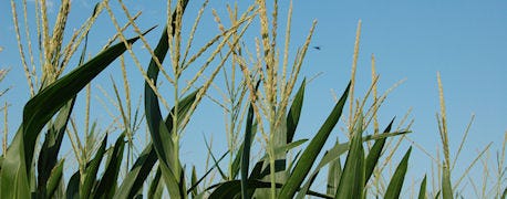 sign_acre_important_decision_act_before_june_3_1_635046645254421023.jpg sign_acre_important_decision_act_before_june_3_1_635046645254421023.jpg