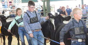 Curt Lemenager showed his young heifer with precision