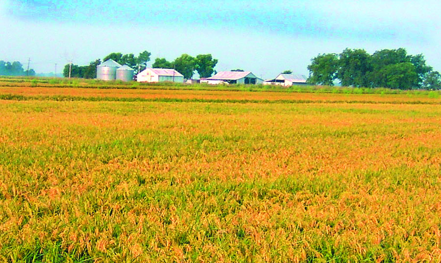 Don&rsquo;t bet your farm: An estate plan can help preserve assets