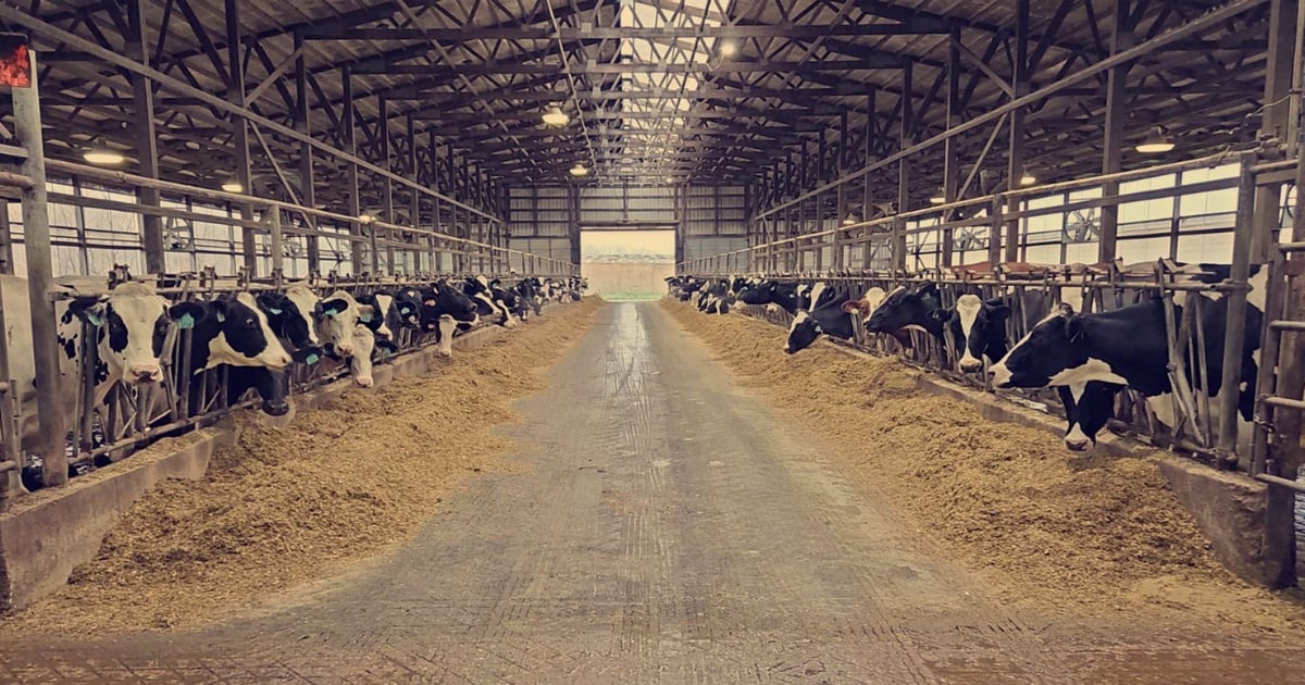 Prepare barn ventilation system for winter