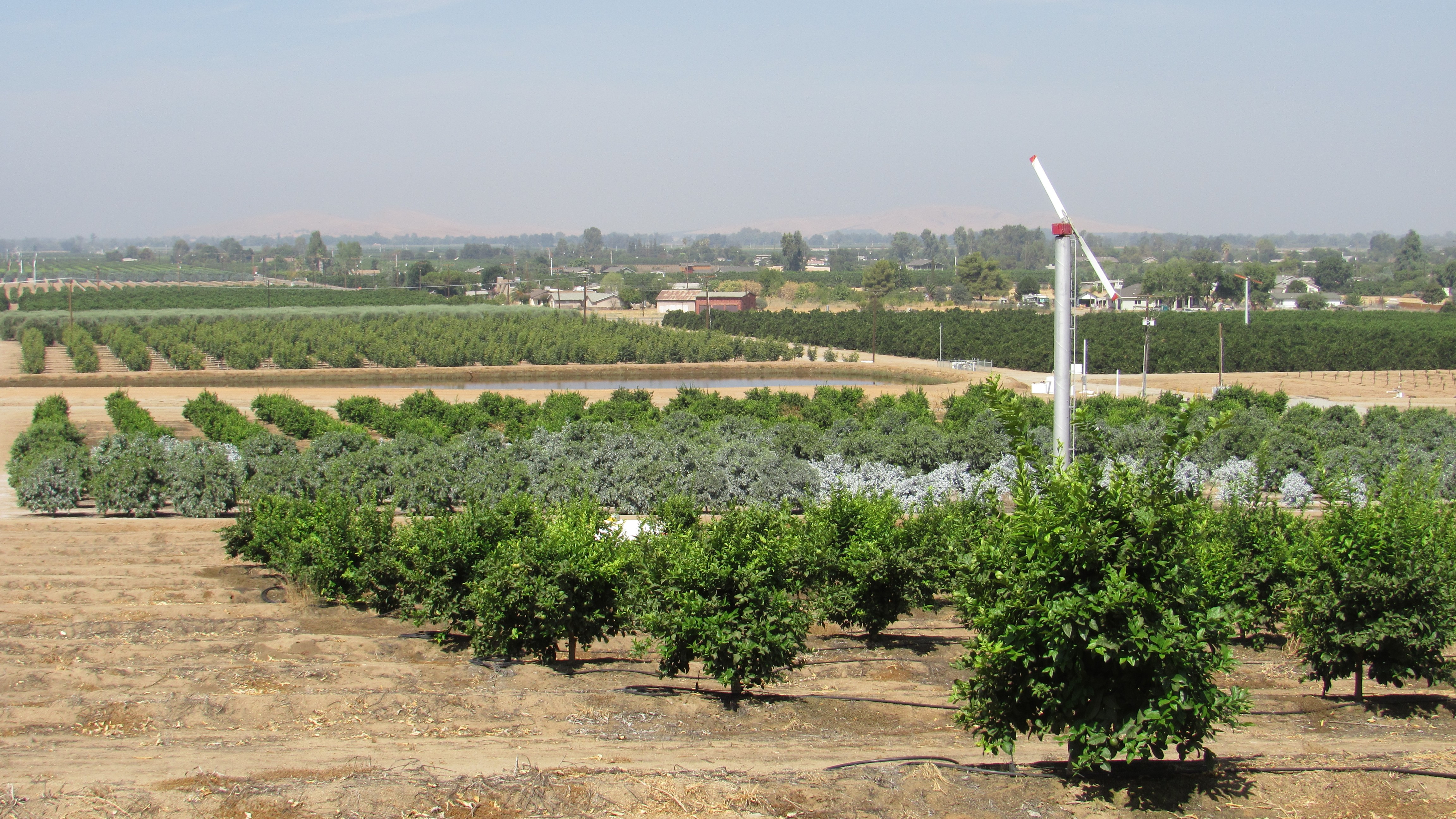 Central Valley farmland