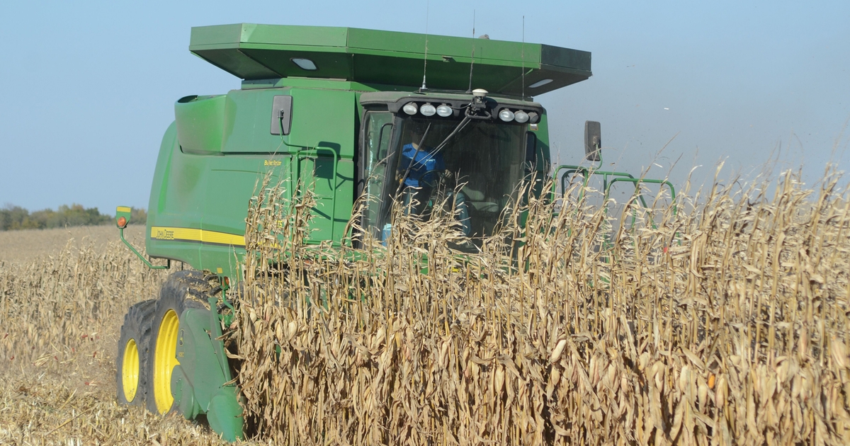 Kansas corn growers’ yields impressive in NCGA contest
