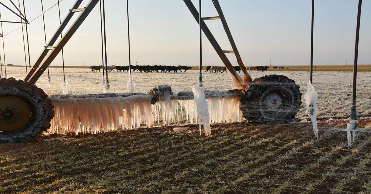Running Sprinklers During A Freeze