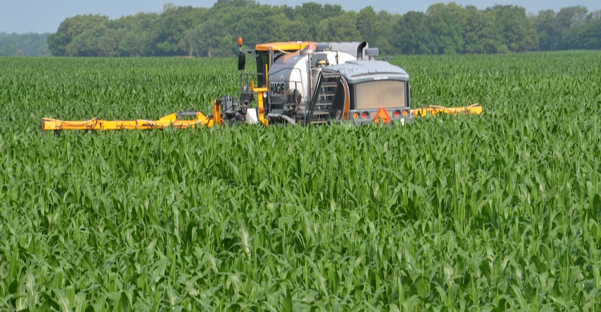 Hagie sprayer in cornfield applying fertilizer
