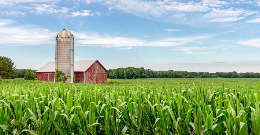 red barn and silo set in a field of green corn and under a blue sky