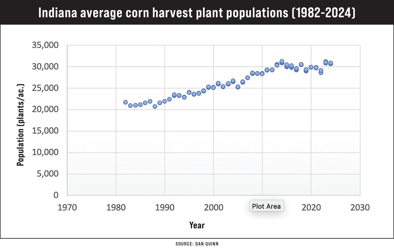 Indiana corn yields stable across plant populations, research finds