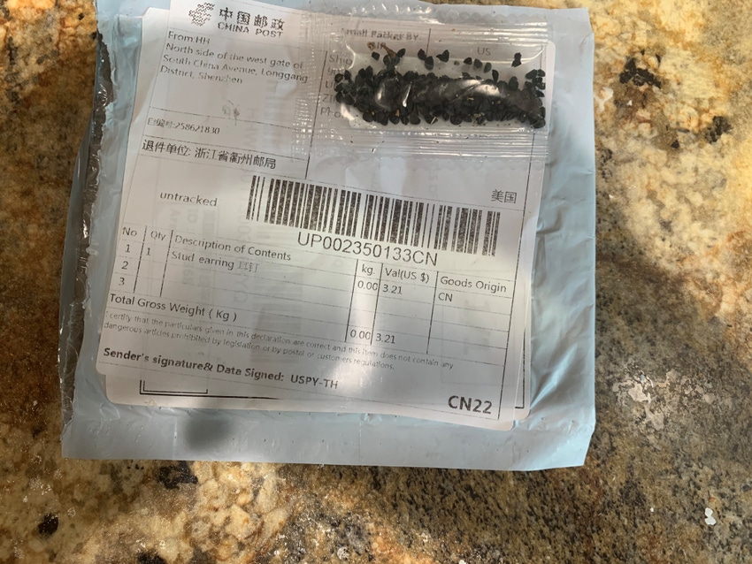 mystery package of seeds