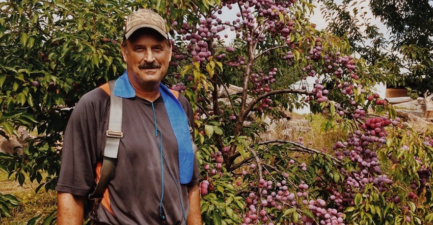 Bill Teichman, 57, is a third-generation owner of Tree-Mendus Fruit Farm standing infront of a grape tree