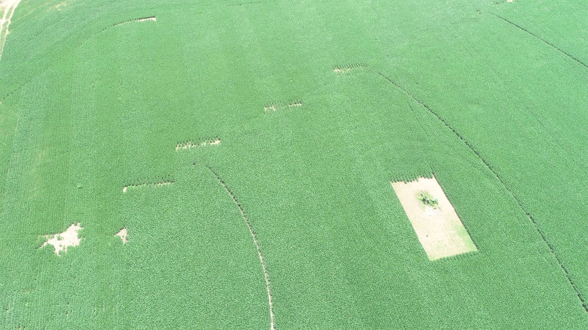 Aerial view of a soybean field with bare areas Aerial view of a soybean field with bare areas