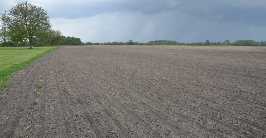 seeded field with dark clouds in background