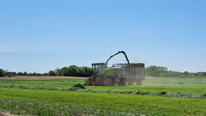 forage harvesting equipment in the field, chopping triticale and ryelage