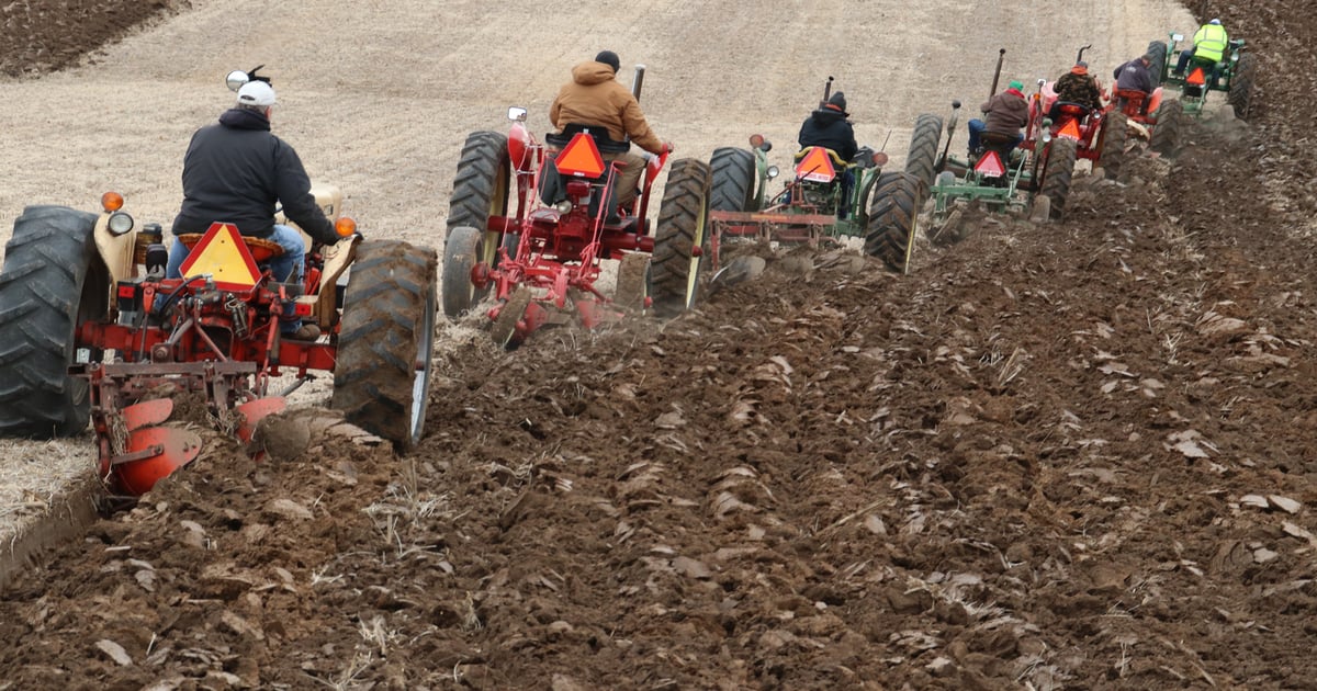 Antique tractors still make perfect furrows for plow wizards