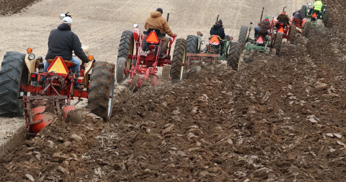 Antique tractors still make perfect furrows for plow wizards