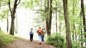A small group of people walking through a forest