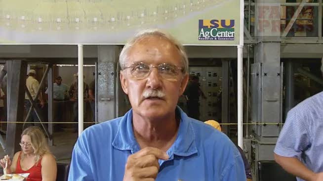 LSU Rice Research Station attendees get update on new rice varieties