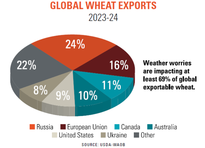 Global_wheat_exports.PNG
