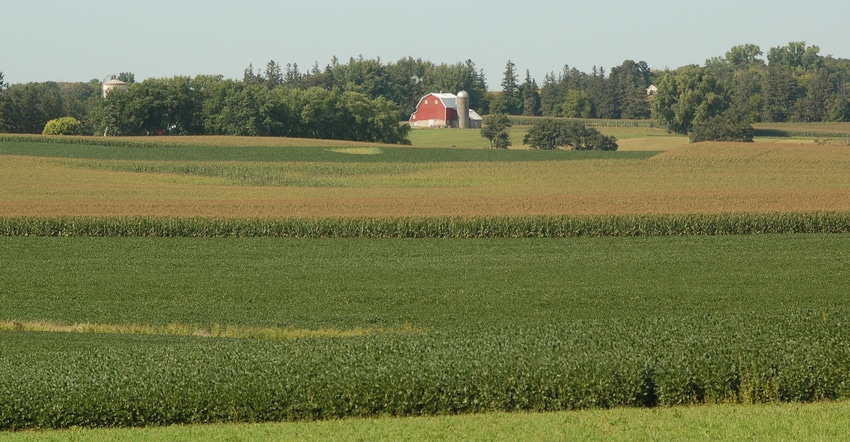corn fields with farm in background