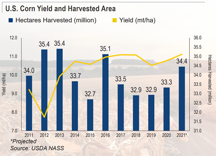 U.S. corn yield and harvested area by year