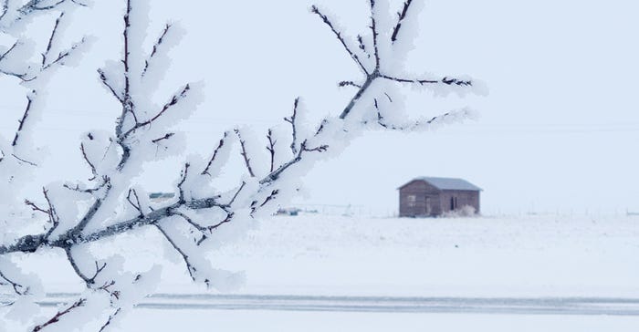 swfp-shelley-huguley-frost-snow-tree-barn.jpg