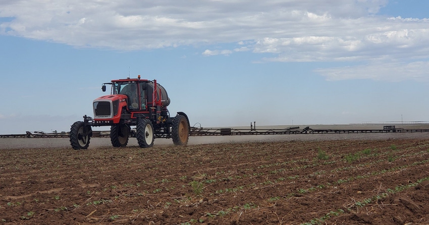 cotton-spraying-20c-shelley-huguley-swfp web copy.jpg cotton-spraying-20c-shelley-huguley-swfp web copy.jpg