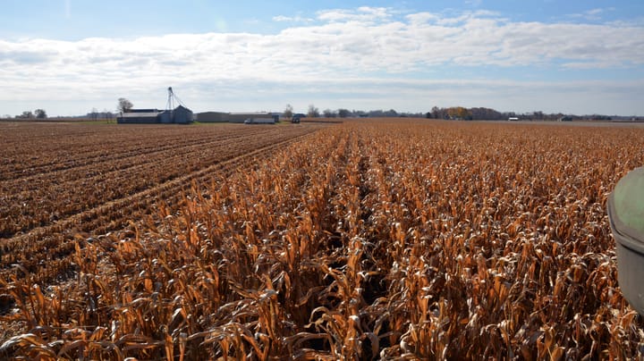 Crop progress: Corn harvest kicks off in Southern states