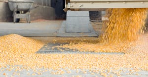 corn being unloaded from truck into elevator