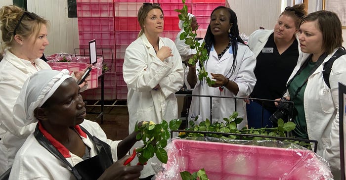 IALP Class members receive a tutorial on proper pruning for roses that are to be shipped at the Stokman Rozen Kenya Ltd. flower farm outside of Naivasha, Kenya. 
