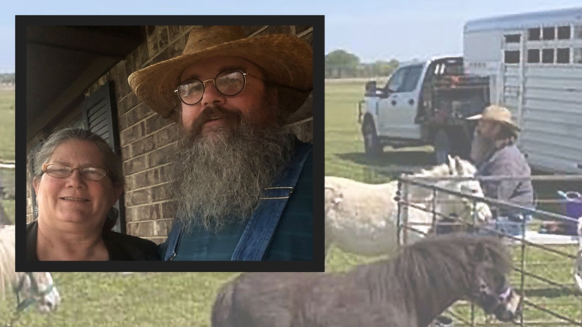 People at petting zoo in grassy field with farm animals and fencing.