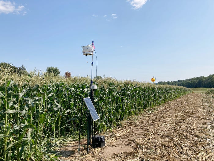 A laser and a scare eye balloon at the edge of a cornfield