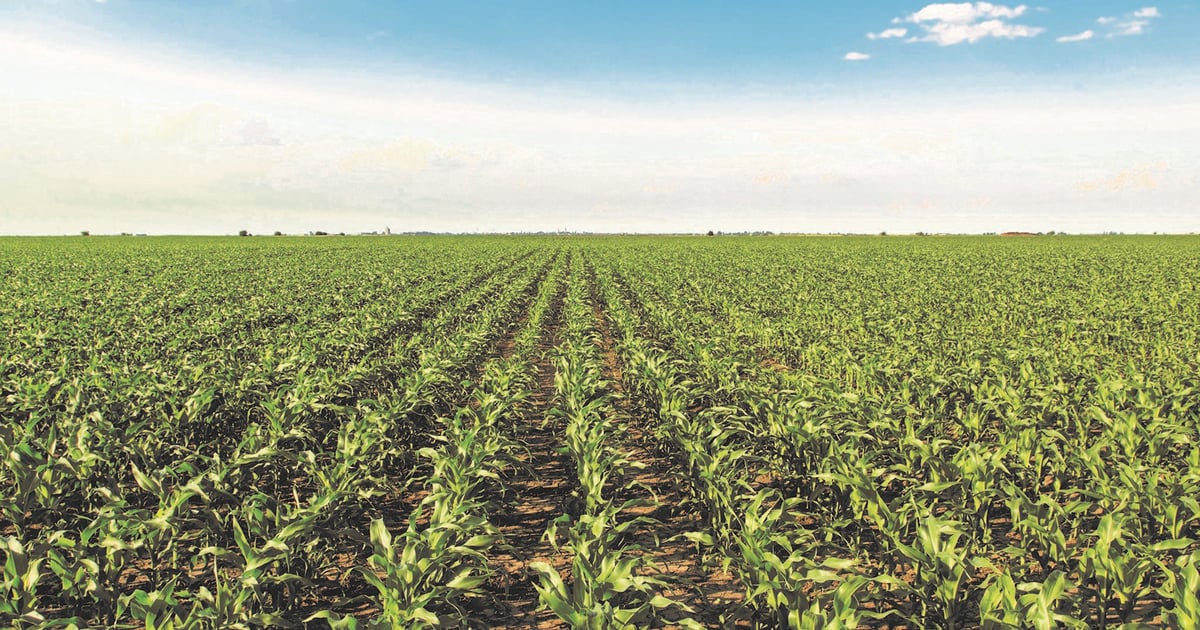 Choosing which neighbor to rent farm to is tough task