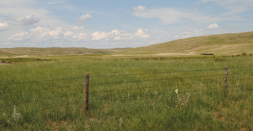 Nebraska grasslands