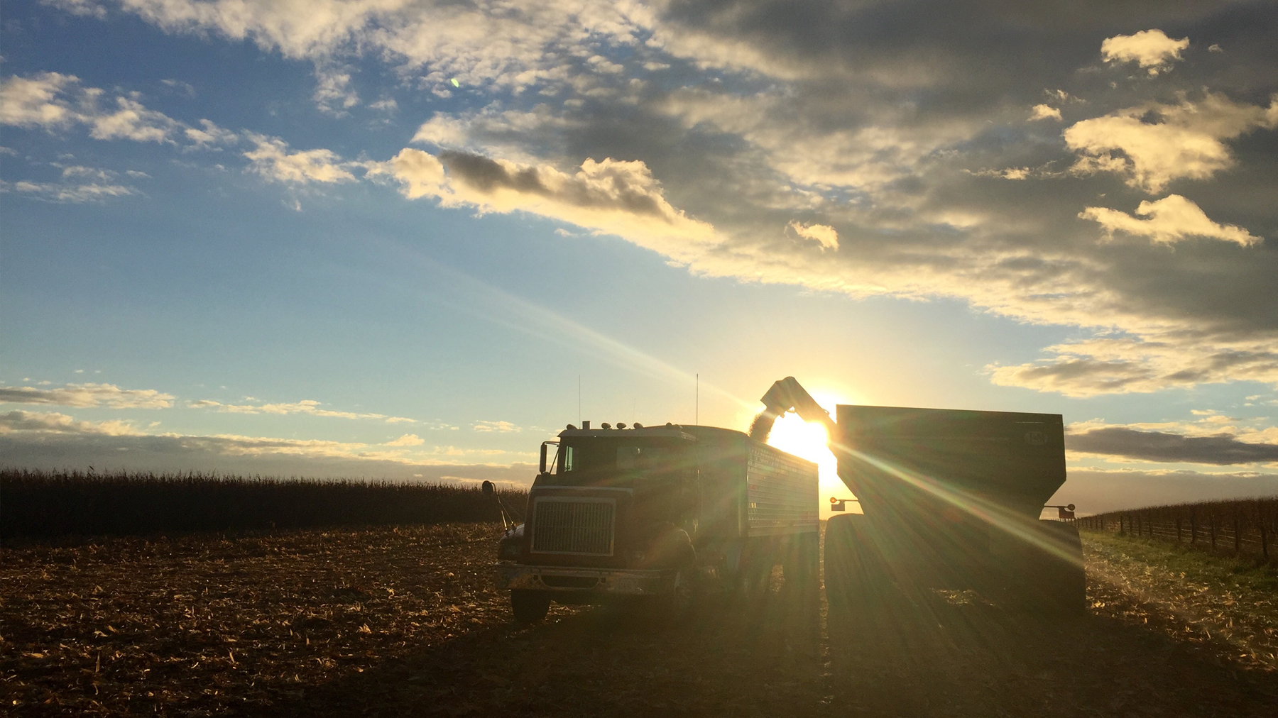 equipment in field at harvest