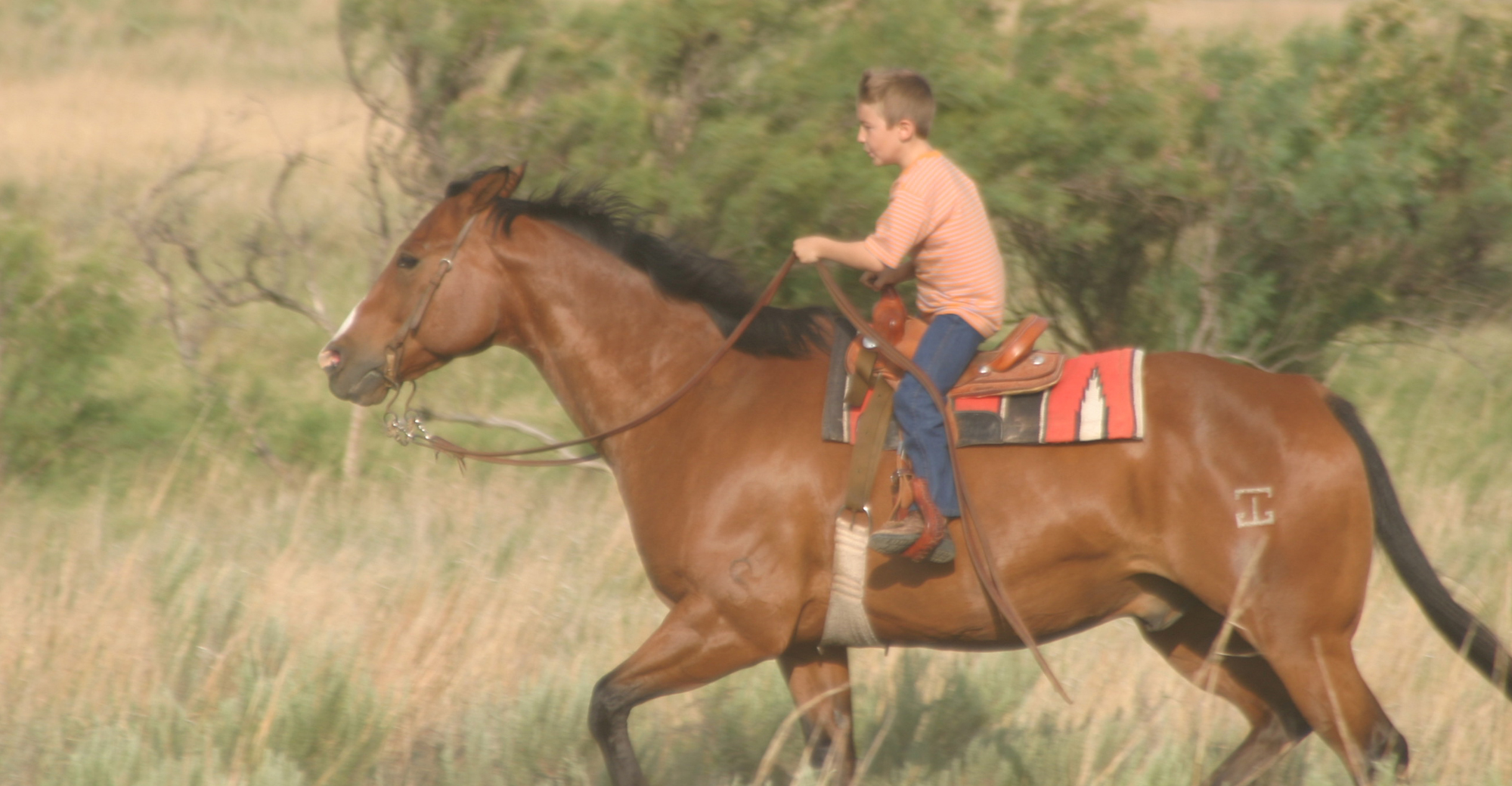 Gardiner Angus Ranch : Cutting Horse Clinic