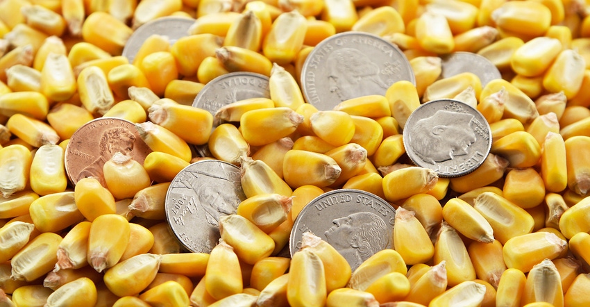 Corn kernels with coins Corn kernels with coins