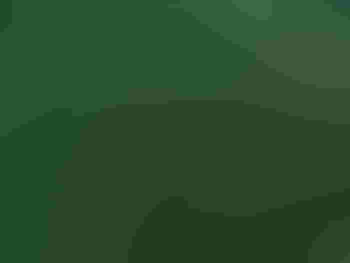 1125F1-3451b-1540x1155.jpg 1125F1-3451b-1540x1155.jpg