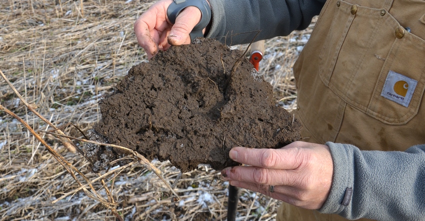person holding chunk of no-till soil showing earthworm channels 