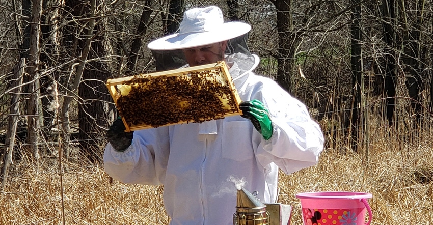 Michael Henson, owner of Barnyard Bees in Davison, Michigan