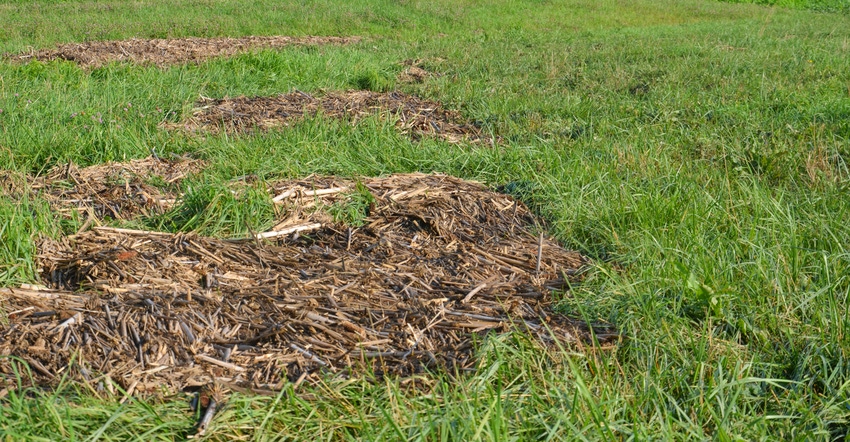 piles of cornstalk residue in grass