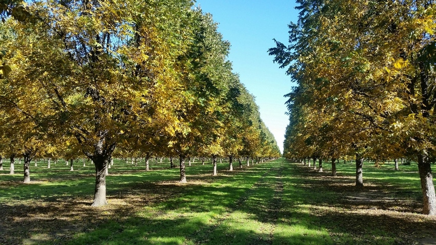 jake-montz-orchard-fall.jpg jake-montz-orchard-fall.jpg