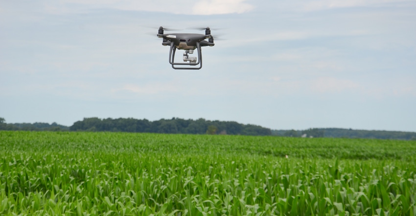 drone over cornfield