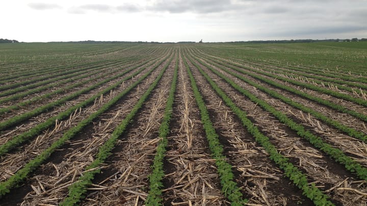 Cheapest tillage pass is the one you don't make