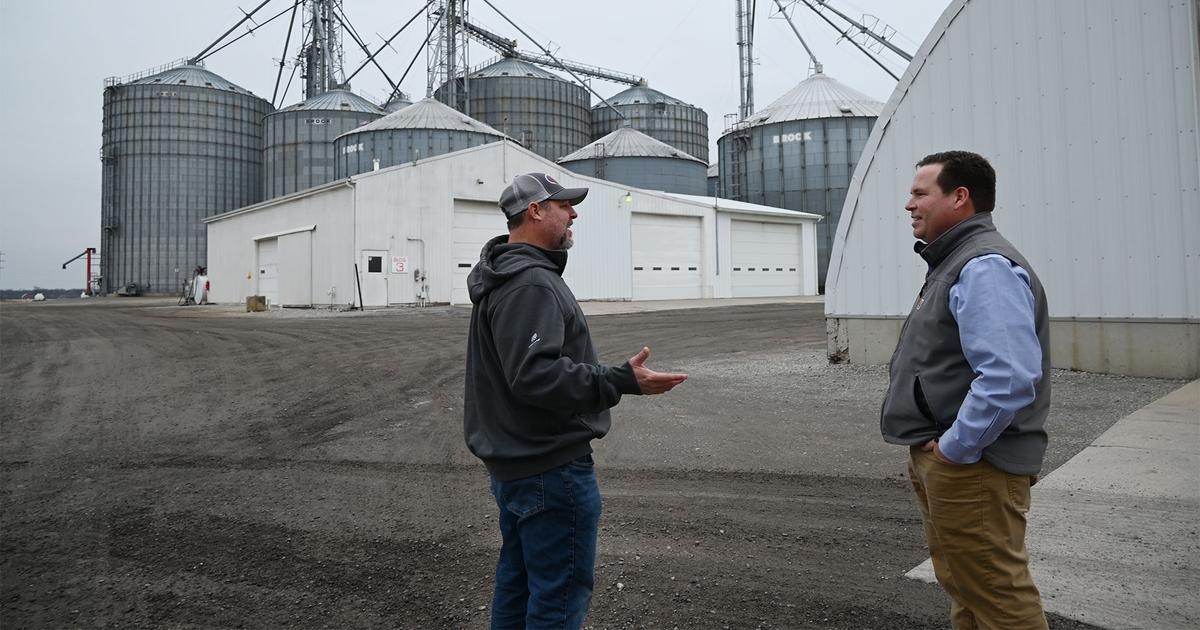 5 Things Grain Elevators Do To Protect You